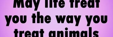 Jannouca's profile banner image