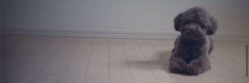 naocox2's profile banner image