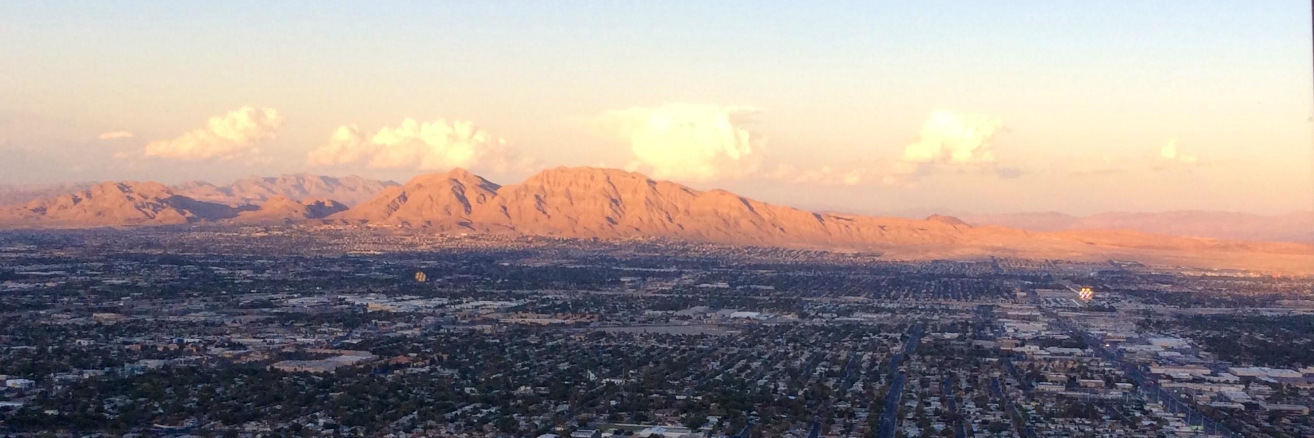 Esther Wilkinson banner