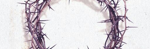 cechi_mtui's profile banner image