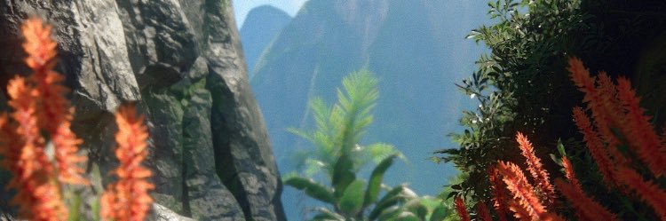 nicoleccurtis's profile banner image