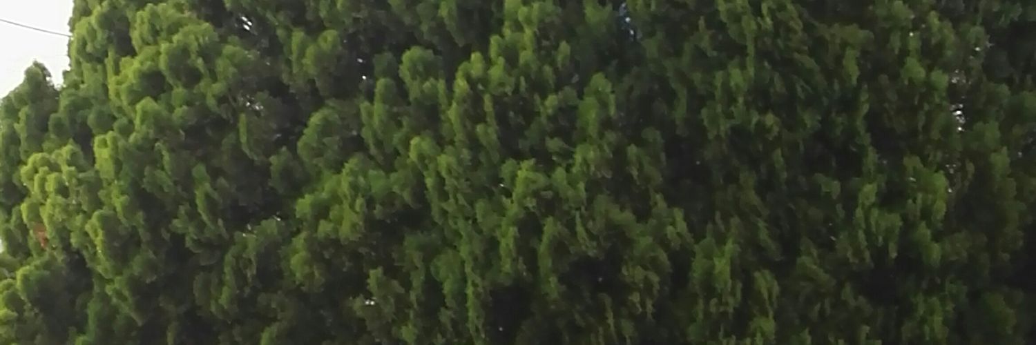 IND_Charles's profile banner image