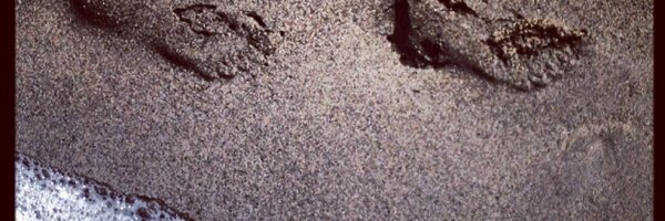 FernandoDValle Profile Banner