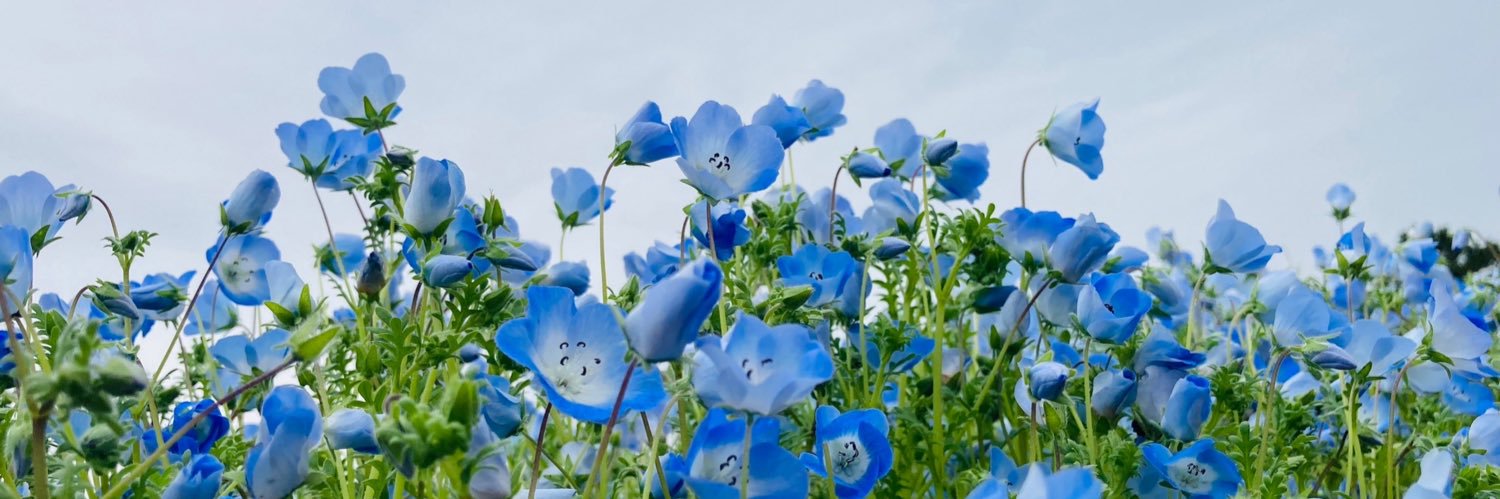 m__b__17's profile banner image