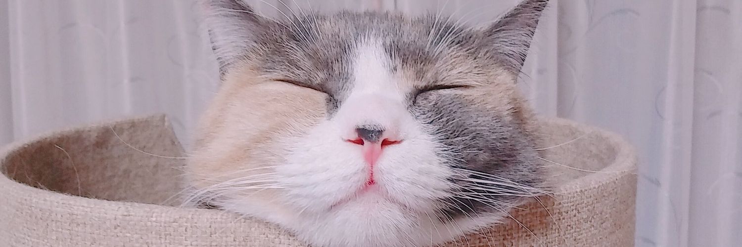 2rghtr_game's profile banner image