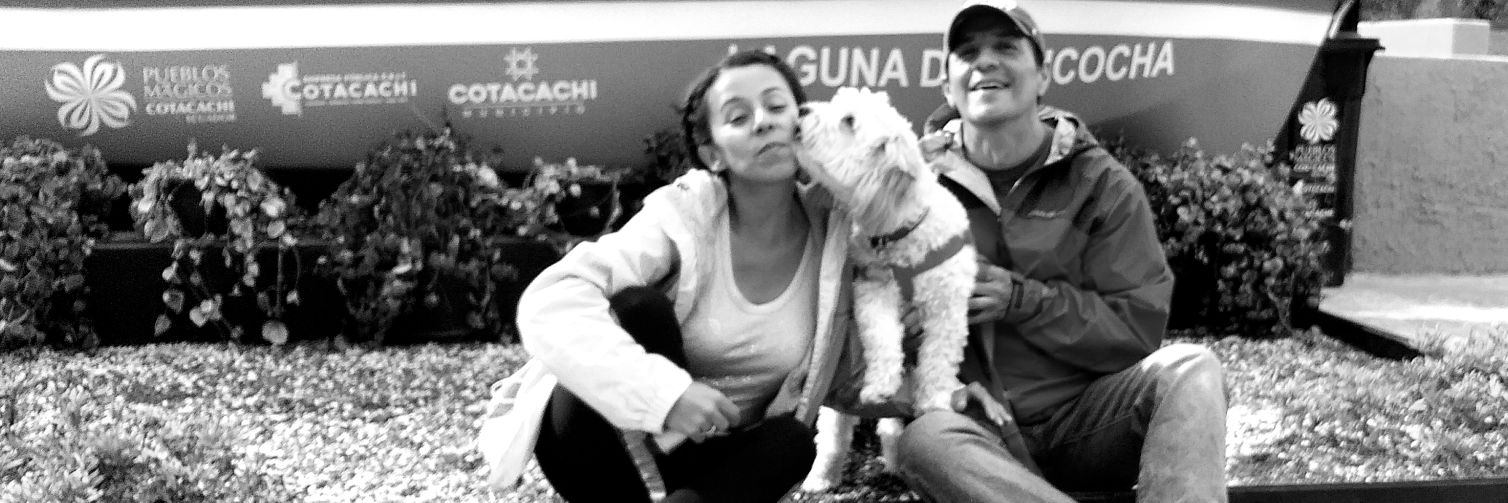 Tuestasconmigo's profile banner image