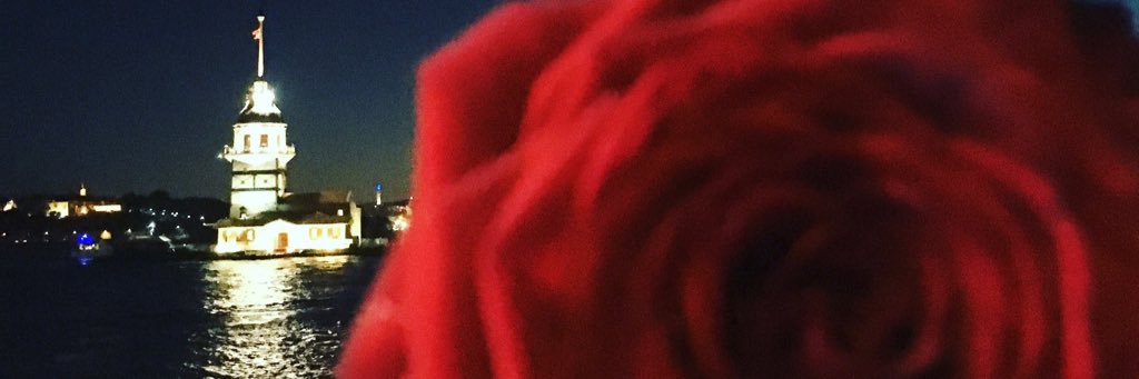 ozlemania's profile banner image