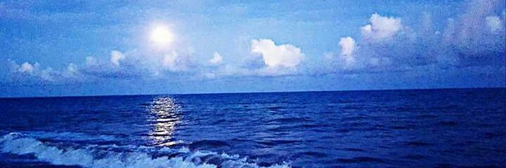 layssnts's profile banner image