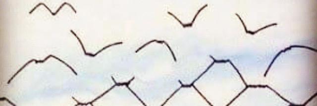 Emmacibran's profile banner image