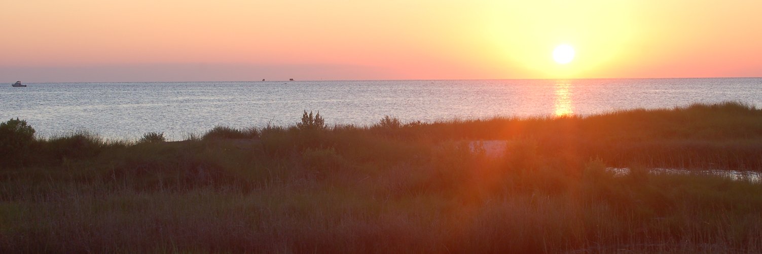 scotthesse's profile banner image