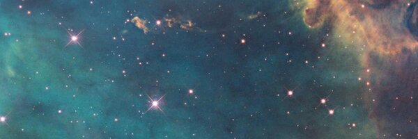 raecarson Profile Banner