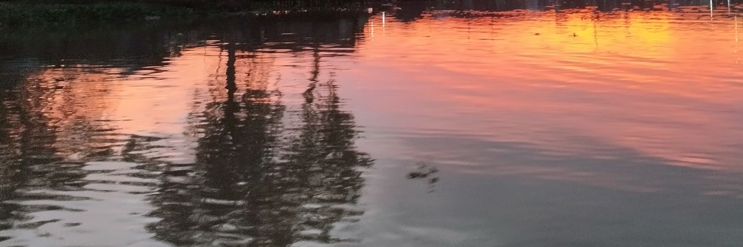 RRssnti's profile banner image