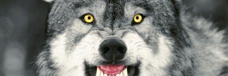 dmutuku2000's profile banner image