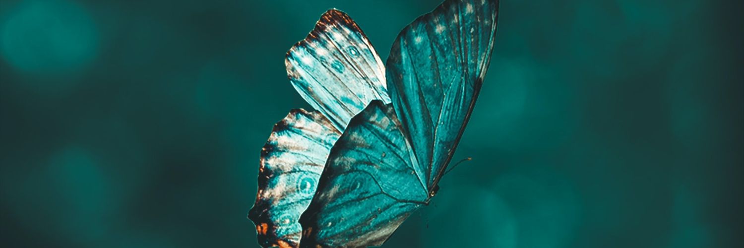 Sleepy Fairy 👑🎀🦋 banner