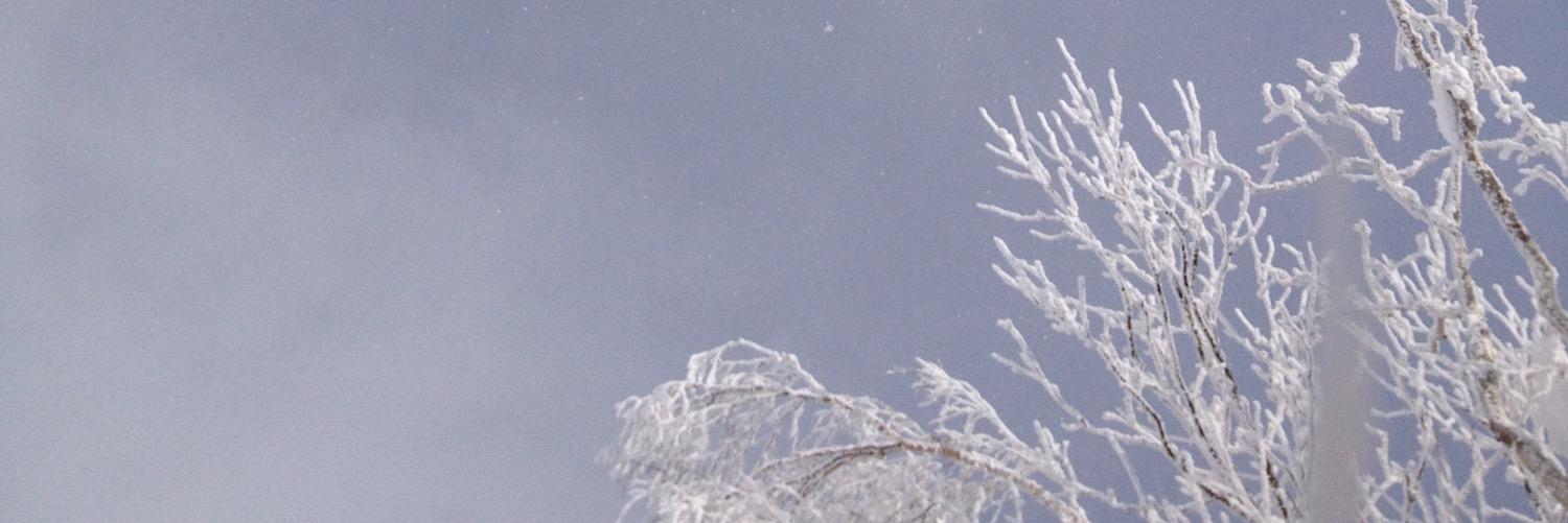 KyofbrM's profile banner image