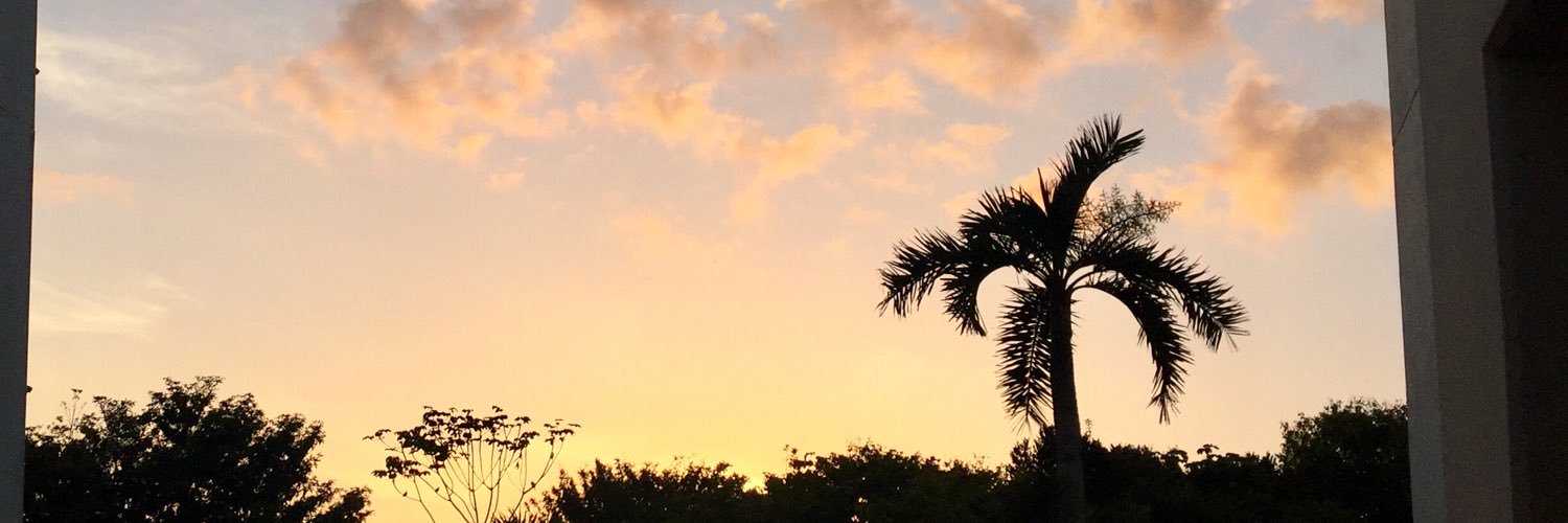 __emilyjames's profile banner image