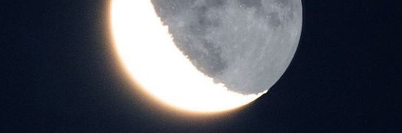 Fidanush's profile banner image