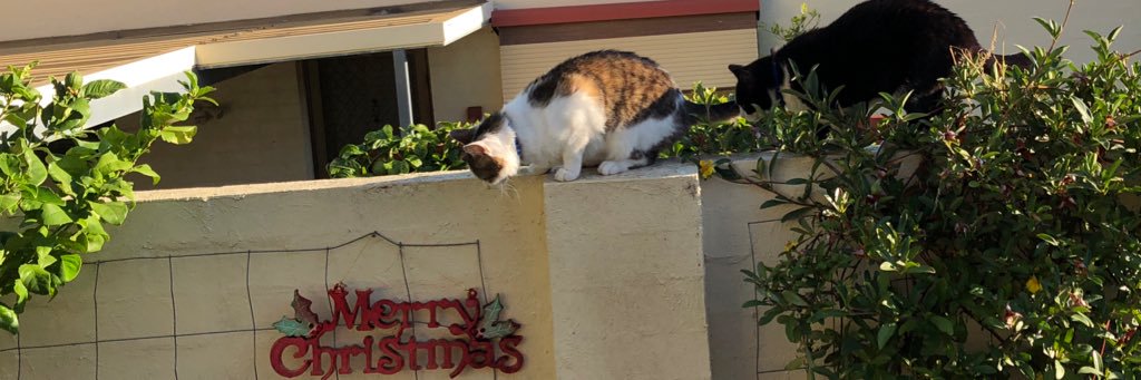Perth_funtimes's profile banner image