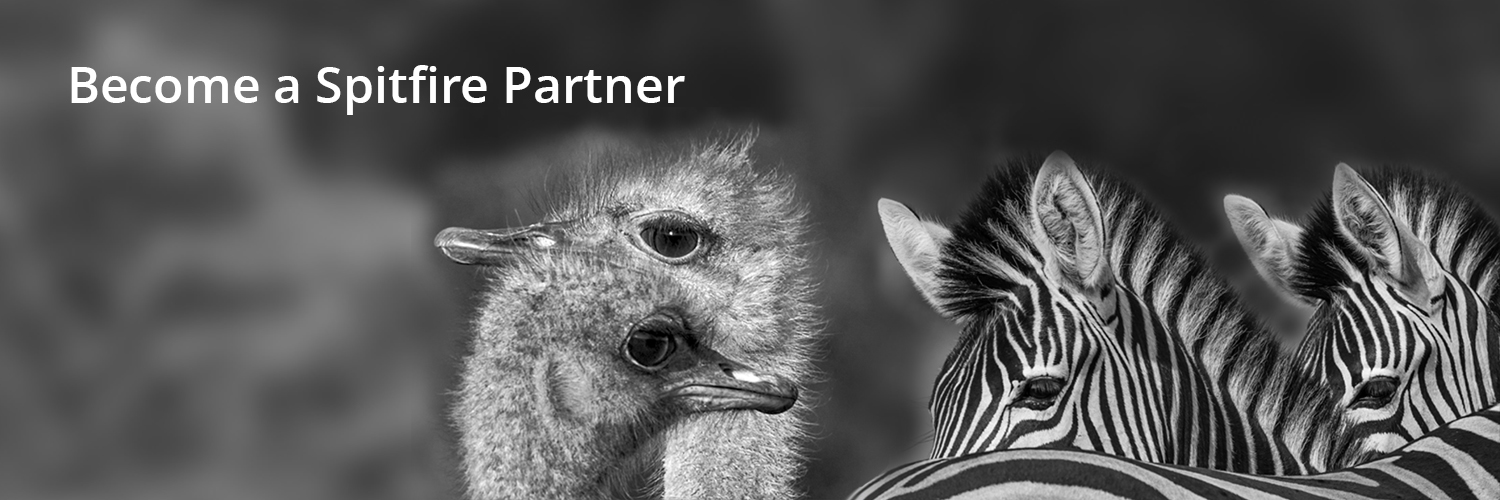 SpitfirePartner banner