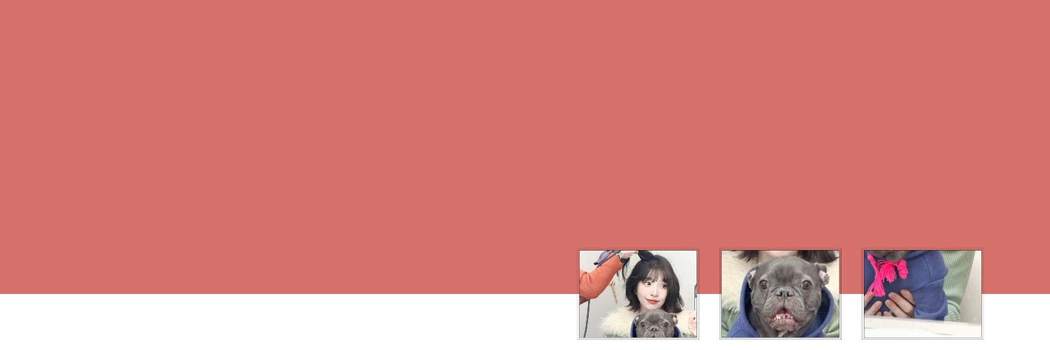 punciher's profile banner image
