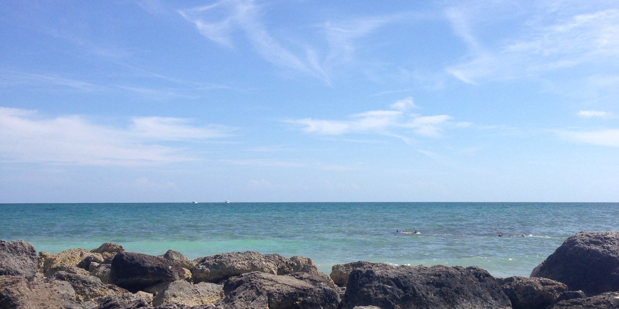 Melina Hawkins banner