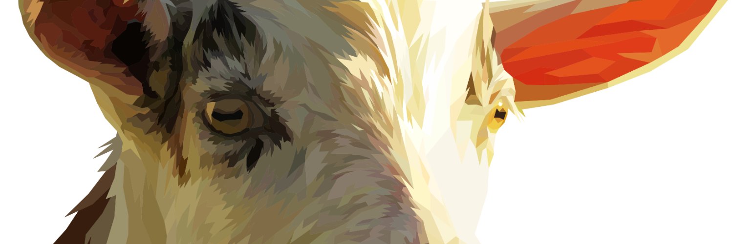 RedLightning17L's profile banner image