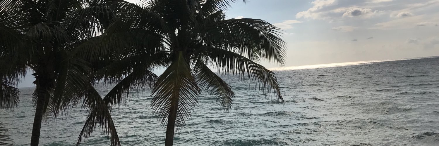 ChelleFerg's profile banner image