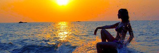 rosa_geijo's profile banner image