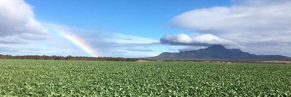 originalstinger Profile Banner