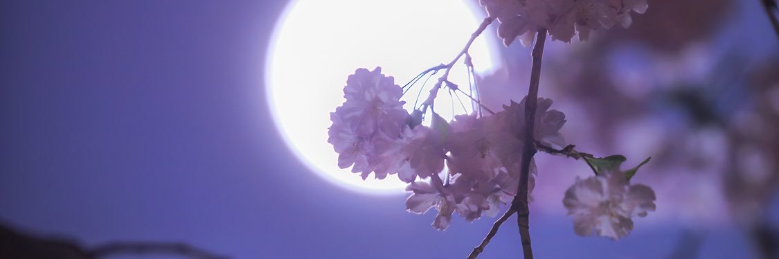 climber_star's profile banner image