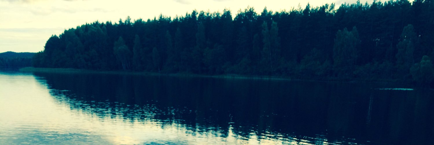 boyardkid's profile banner image