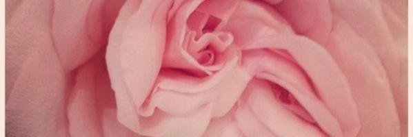 Jemmski's profile banner image