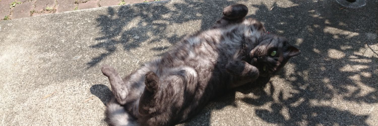飛鹿(ﾋﾛｸ) banner