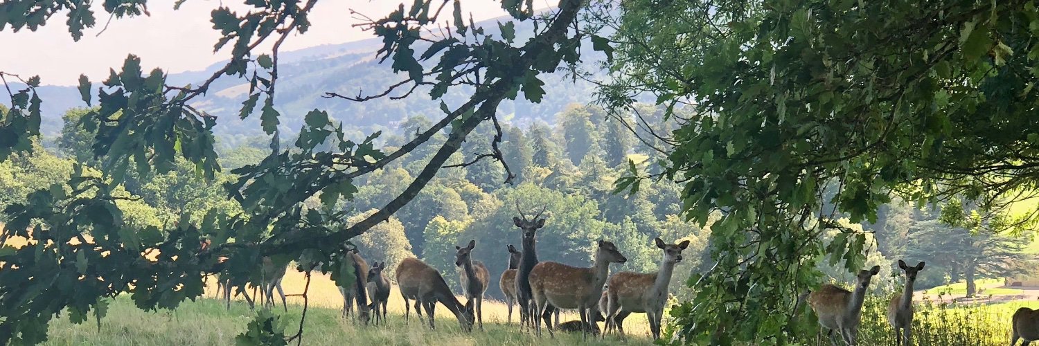 RobNewborough's profile banner image