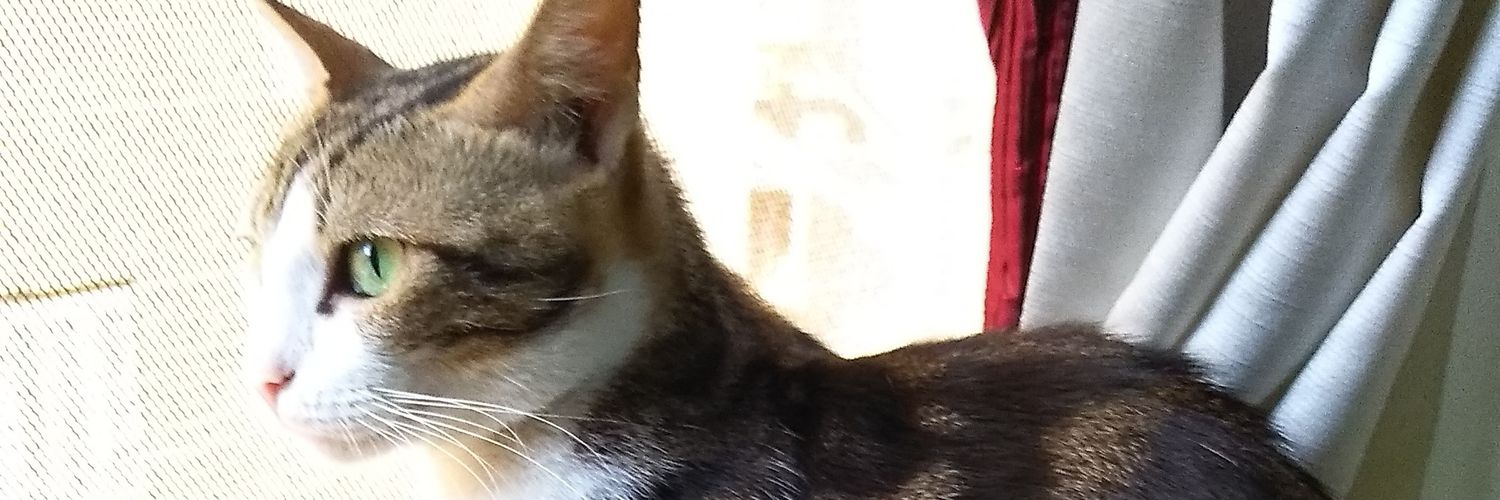 Omnia 😊🎶🇪🇬⁩⁦🦅🔴 banner