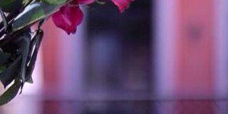 farha0908's profile banner image