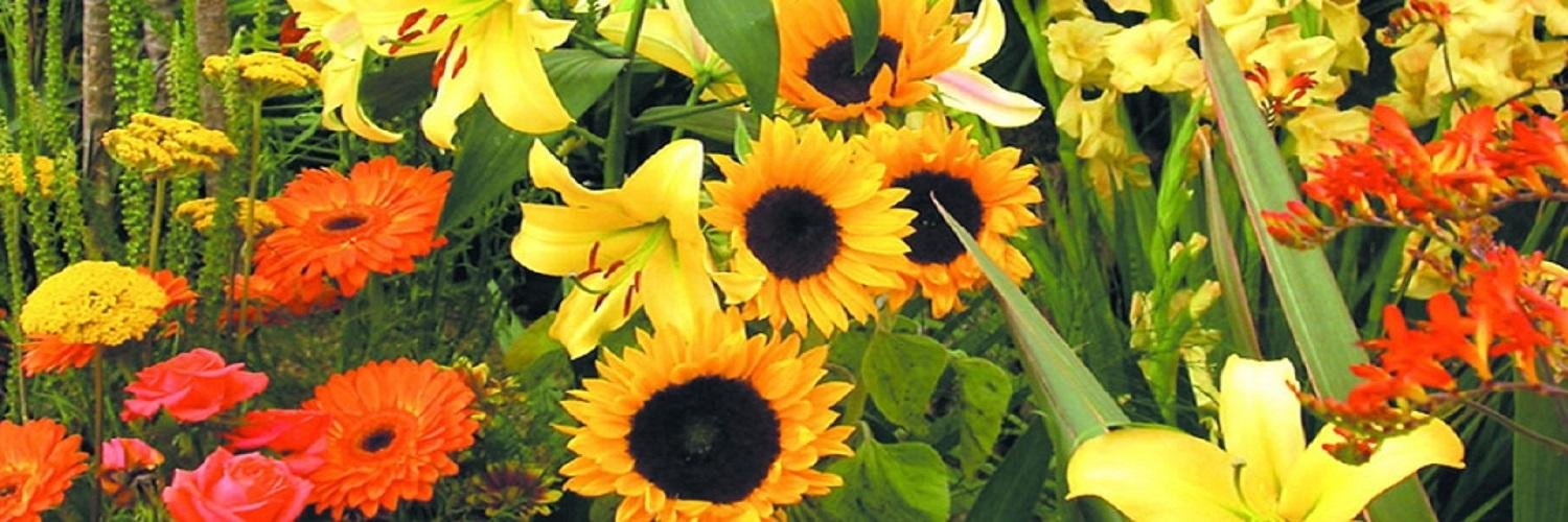 ManorbierGarden's profile banner image