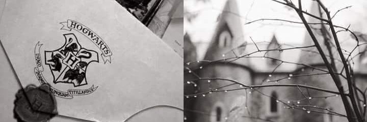 Veronica_SS04's profile banner image