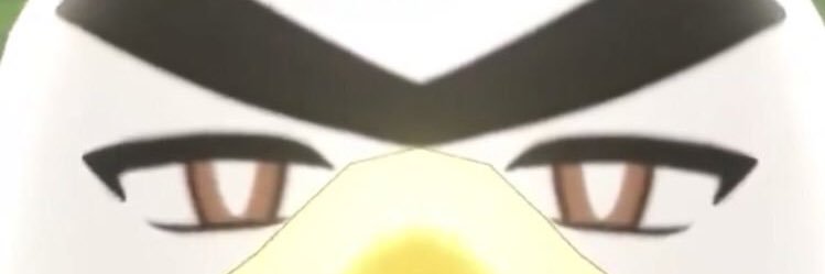 チェルフィー banner