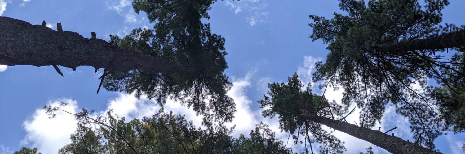 robharris07's profile banner image