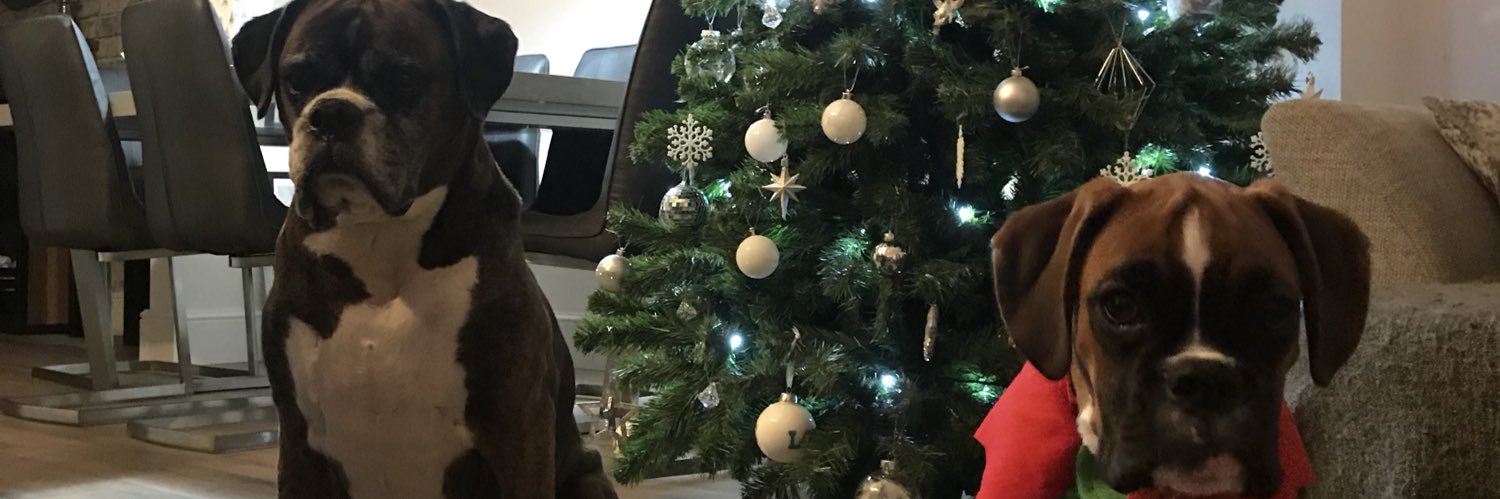 russbully's profile banner image