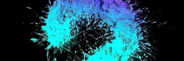 TaylorGangFW's profile banner image