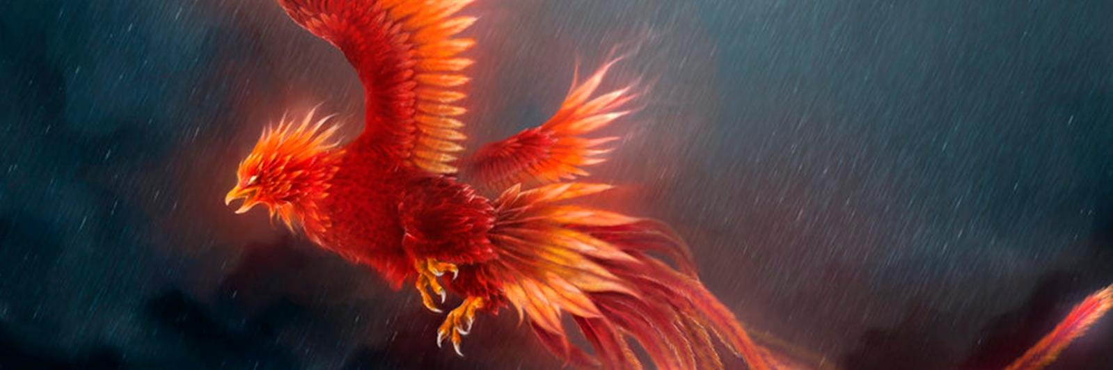 NikkoKX's profile banner image