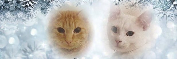 _Valeriane_'s profile banner image