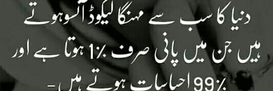 ud_aslam's profile banner image