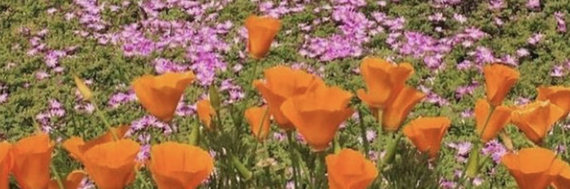 maddleff's profile banner image