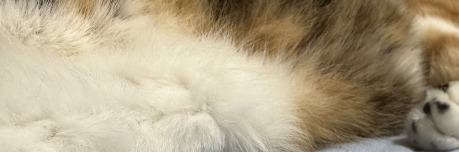 Ipi0103's profile banner image