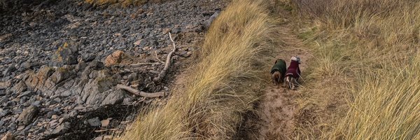 weewiryone Profile Banner