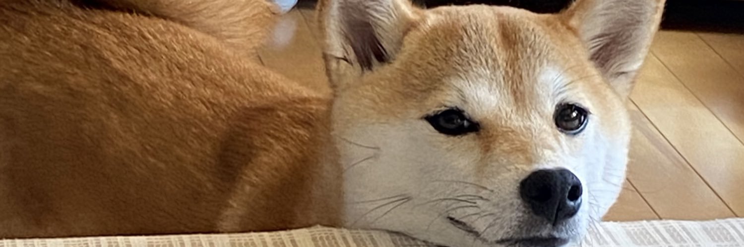 toshi_mapi's profile banner image