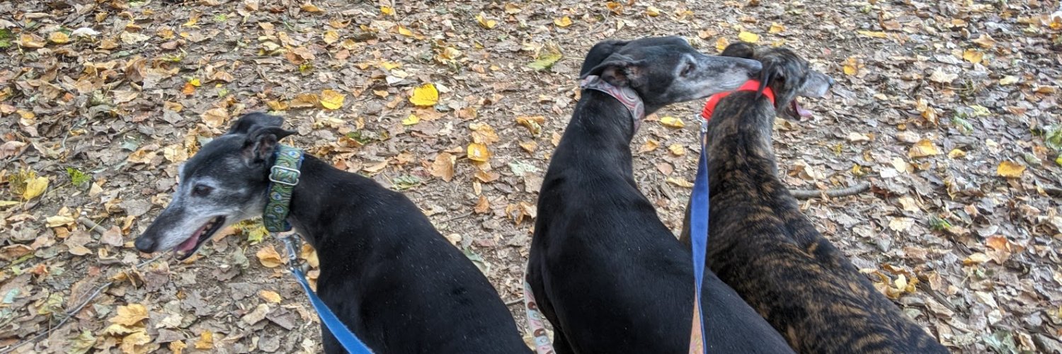 Chris Garrity banner